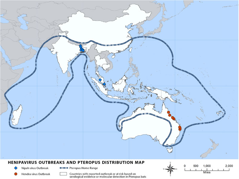 Henipavirus Outbreaks and Pteropus Range